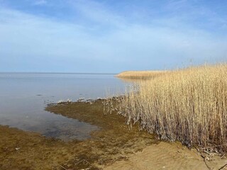 Casa de vacaciones Stauning  17