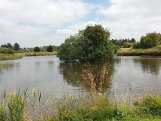 Vakantiehuis Stauning  16