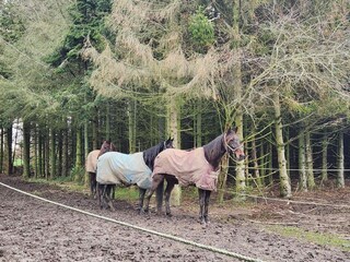 Maison de vacances Rødvig  27