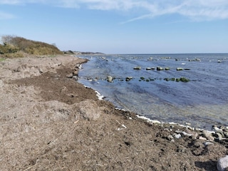 Holiday house Rødvig  31