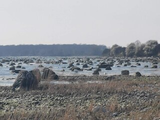 Casa per le vacanze Rødvig  28