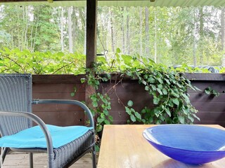 Vakantiehuis Rimbo Buitenaudio-opname 2