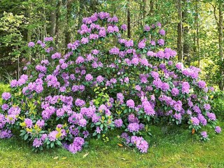 Holiday house Rimbo Outdoor Recording 5