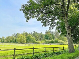 Vakantiehuis Rimbo  23