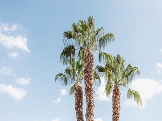 Appartement Mazarrón  41