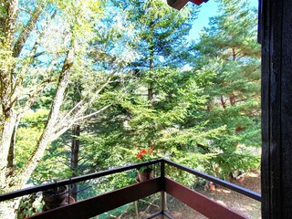 Holiday house Labro Outdoor Recording 2