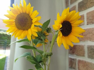 Casa de vacaciones Kellenhusen Grabación al aire libre 20