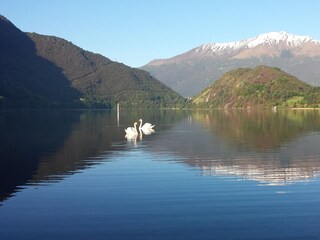 Appartamento per vacanze Colico Ambiente 23