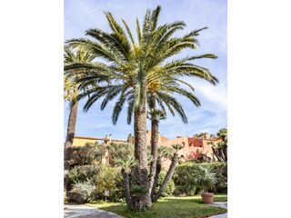 Appartamento Hyères  23