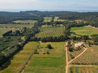 Villa Hyères Ambiente 36