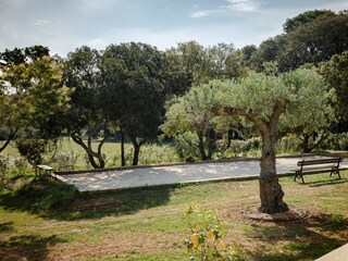 Villa Hyères Registrazione all'aperto 6