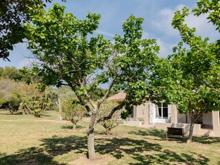 Villa Hyères Registrazione all'aperto 9