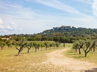 Villa Hyères Ambiente 37
