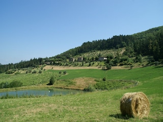 Bauernhof Londa Umgebung 18