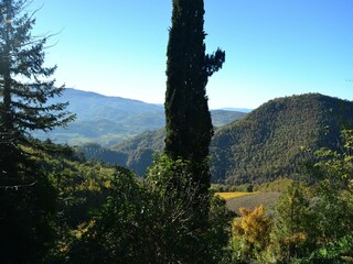 Fattoria Londa Ambiente 14