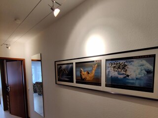 Ferienwohnung Kellenhusen Ausstattung 8