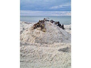 Sandburgen bauen
