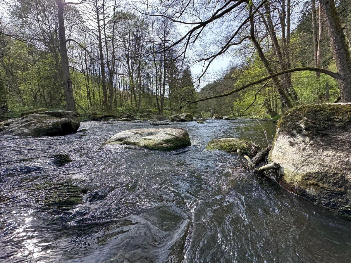 Ferienhaus Neunburg vorm Wald Umgebung 28