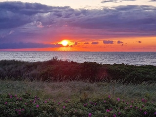Ferienhaus Fjellerup Strand  32