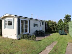 Ferienpark Chalet in der Nähe von Loonse und Drunense Duinen - Udenhout - image1