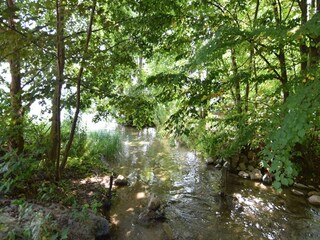 Vakantiehuis Parchowo Omgeving 19