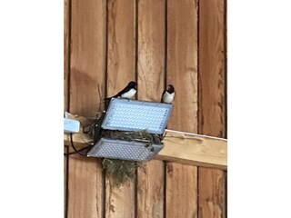 Besuch in der Werkstatt