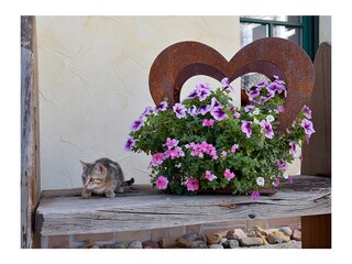 Casa per le vacanze Masserberg Registrazione all'aperto 3