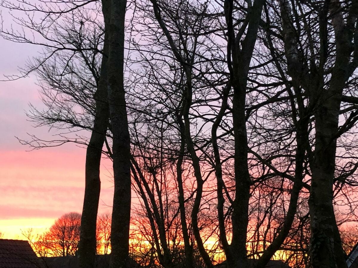 Sonnenuntergang auf der Terrasse