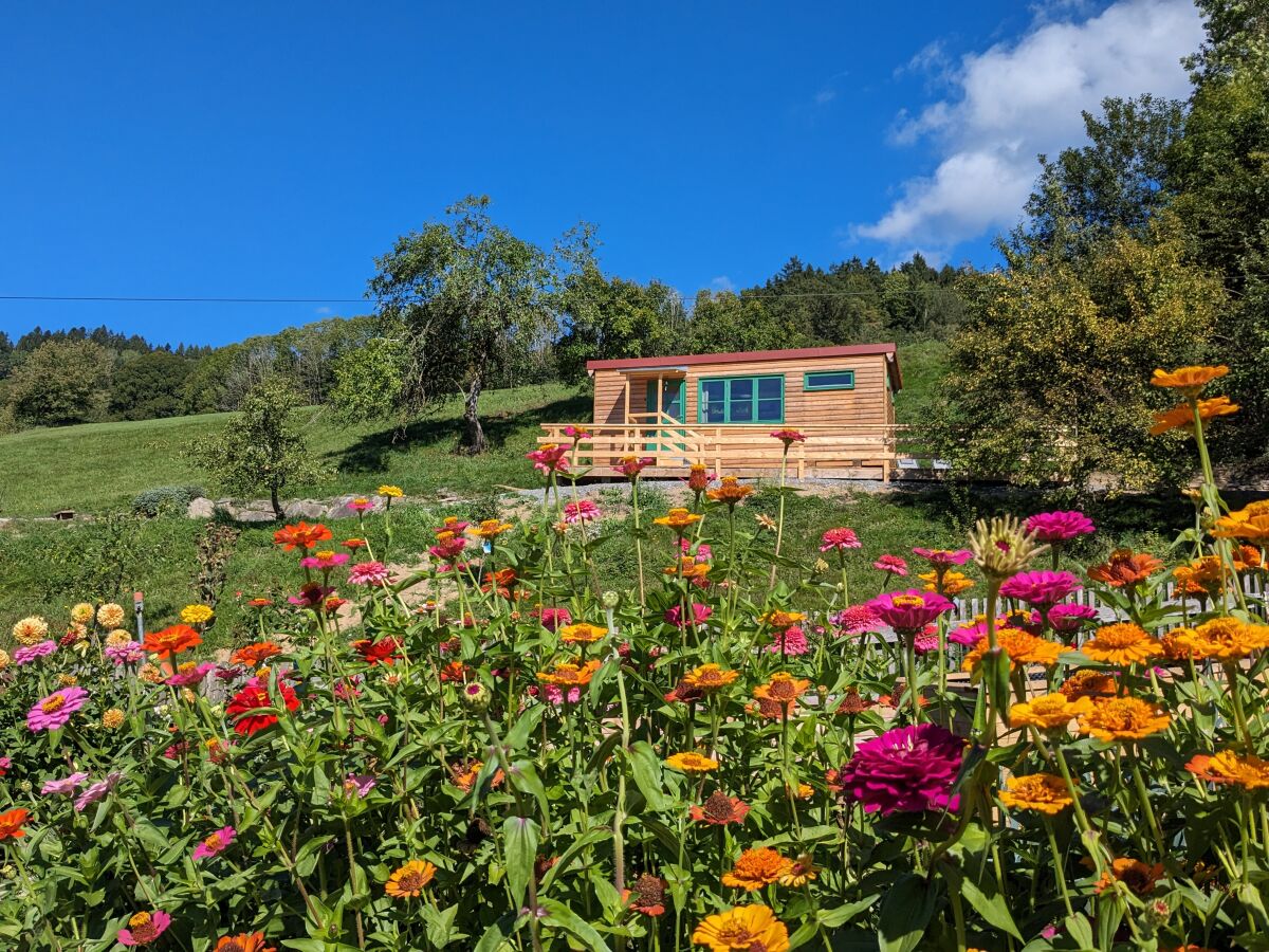 Tiny House "Hoizwurm"