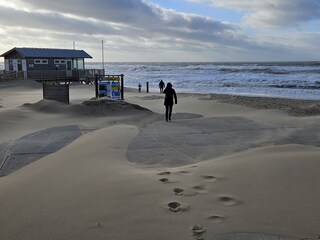 Vakantieappartement Julianadorp Omgeving 43