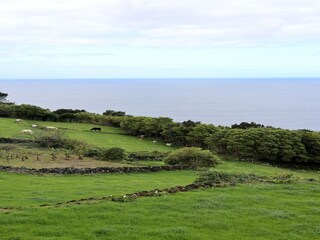 Appartamento Ribeiras Ambiente 15