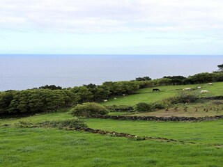 Apartamento Ribeiras Entorno 17