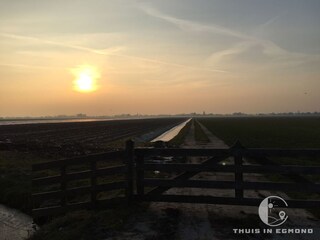 Casa per le vacanze Egmond aan Zee Ambiente 19