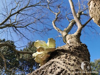Casa per le vacanze Egmond aan Zee Ambiente 21