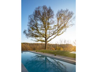 Villa Karojba Ambiente 29