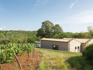 Villa Karojba Ambiente 26