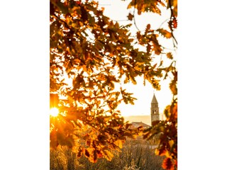 Villa Karojba Ambiente 33