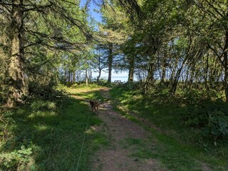 Casa per le vacanze Fjand  25