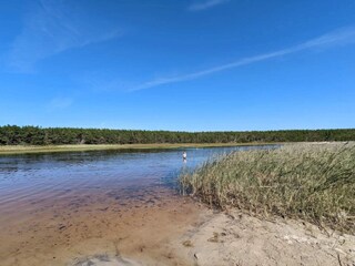 Maison de vacances Vester Husby  7