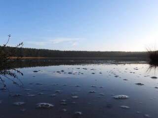 Maison de vacances Vester Husby  13