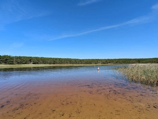 Maison de vacances Vester Husby  2