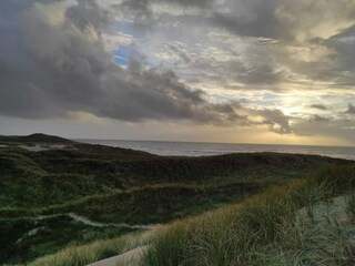 Ferienhaus Vester Husby  38