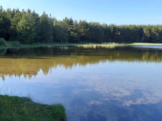 Vakantiehuis Vester Husby  3