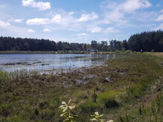Vakantiehuis Vester Husby  11