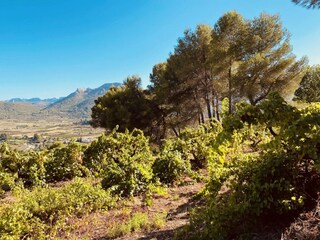 Villa Parcent Environment 32