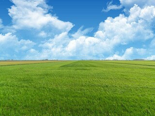 Casa de vacaciones Burgerbrug Entorno 34