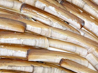 Maison de vacances Den Burg  39