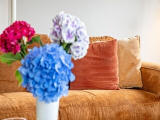 Vakantiehuis Den Burg  40