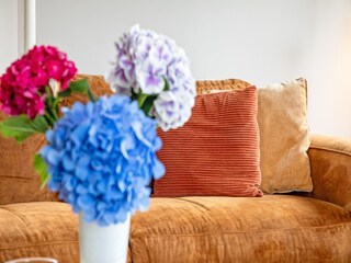 Vakantiehuis Den Burg  39