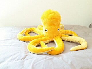 Maison de vacances Diemelsee Enregistrement extérieur 7